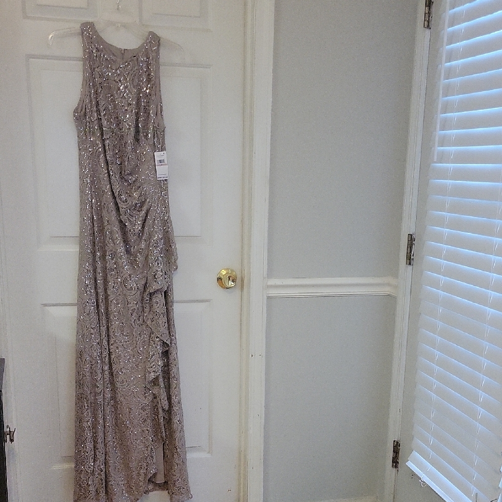 Just In Time For The Holidays!  Alex Evenings Lace Sequin Gown in Champagne